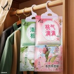 家用大容量防霉除湿袋系统悬挂式吸湿柜除湿袋家用