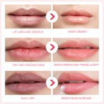 OEM Custom Logo Organic Vegan Lip Balm Cruelty-Free Hydrating Nourishing Moisturizer Lip Care Balm Private Label Lip Care Balm