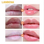 LANBENA持久唇部护理精华保湿变色唇膏与萃取唇妆液体形式