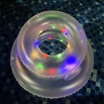 Swim Tube Factory - Heart Shape LED Ring