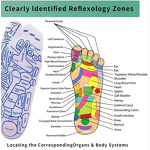 Breathable Letter Pattern Acupoint Toe Two-Toe Foot Therapy Massage Casual Crew Customizable Winter Gift Ideas Pack 10 Pairs