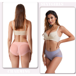 Factory Direct Plus Size Women's High Cut Triangle Panties Transparent Mesh Briefs Mid-Rise Antibacterial Breathable ODM Supply