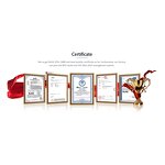 A-Frame Truck Factory - Double Sided Slab Loader