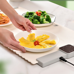 Electric Warming Tray Manufacturer - Portable Folding Food Warming Hot Plate