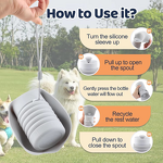 Collapsible Dog Bowl Manufacturer - Custom Foldable Food-Grade Travel Bowl