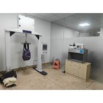 Women's Gym Duffel Bag Factory - Custom Logo 2025 Large Capacity Waterproof