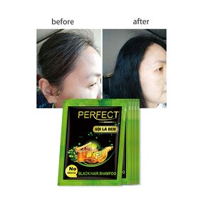 Hair Color Shampoo Manufacturer - In Stock 5 Minute Natural Ginseng Dye