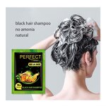 Hair Color Shampoo Manufacturer - Daily Use Long Lasting Black Dye
