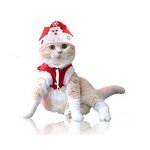 Knit Santa Hat for Pets Factory - OEM Wholesale Cute Winter Puppy Kitten New Year Headwear Christmas