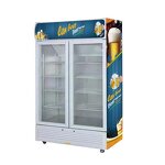 Display Freezer Manufacturer - Double Glass Door Commercial Vertical Cooler