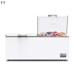 Commercial Freezer Manufacturer - Single-Temperature Top-Freezer Refrigerator