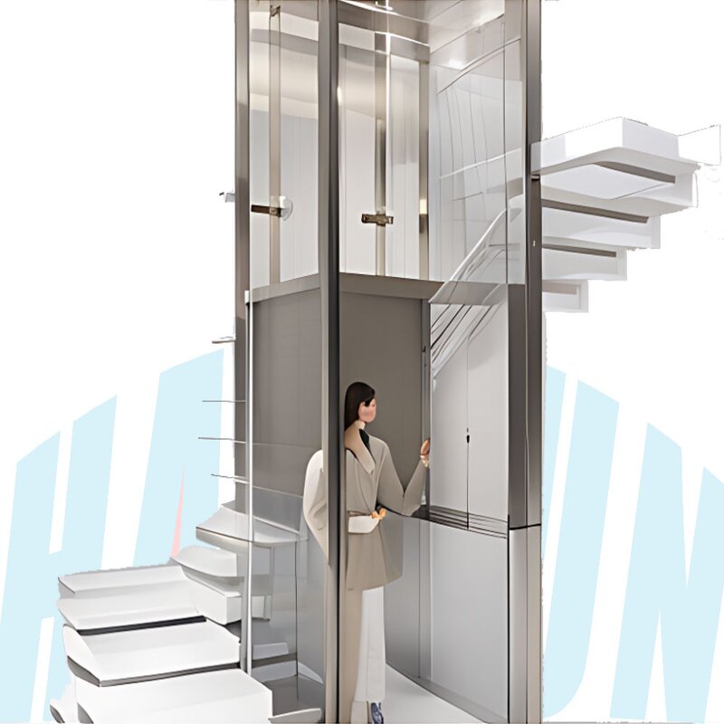 Home Elevator Manufacturer - Professional 0.4m/s 320kg Shaftless Glass Lift