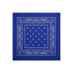 Bandana Factory - OEM Factory Double Print Logo Fans Square