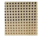 Rattan Webbing Factory - OEM Grid Rolls Premium Quality Natural Cane Webbing Weave Wholesale