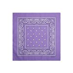 Bandana Factory - OEM Factory Double Print Logo Fans Square