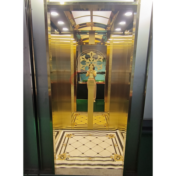 Home Elevator Manufacturer - Custom Stainless Steel Hydraulic Villa Elevator