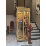 Home Elevator Manufacturer - High Quality Low Cost Small Residential Lift