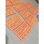 新版兽医学生缝合皮垫Apto企业医学生教学资源