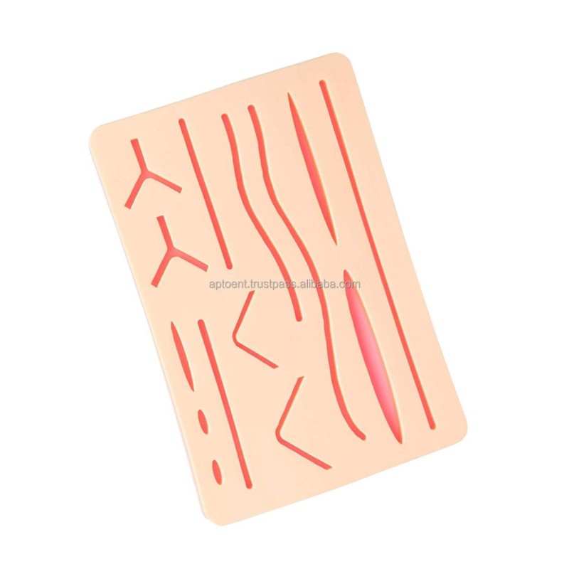 Manikin Science Training Medical Item Color Realistic Feature Skin Origin Trainer Type Life Size Product Aid Place Model