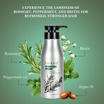 Organic Hair Growth Shampoo Supplier - 2-IN-1 Sulfate Free