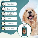 Coconut Pet Shampoo Supplier - Anti Fungal Cleaning