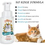 Pet Shampoo Manufacturer - 6 In1 Sulfate Free Deodorizing
