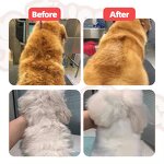 Tearless Dog Shampoo Manufacturer - Moisturizes Conditioner