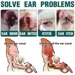 Ear Drops for Pets Supplier - Ear Mite Treatment Cleaner
