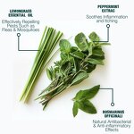 Advanced Dog Shampoo Supplier - Flea and Tick Treatment