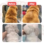 6-in-1 Pet Shampoo Supplier - Luxury Eco-Friendly