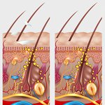 Hair Loss Control Conditioner Manufacturer - Natural Ingredients