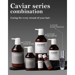 Travel Size Shampoo Set Supplier - Caviar Moisturizing Argan Oil