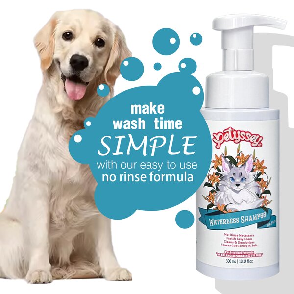 Waterless Pet Shampoo Supplier - Foam Washing