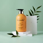 Sulfate Free Argan Oil Shampoo Factory - Customizable Private Label