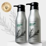 Hair Regrowth Shampoo Factory - Peppermint Ingredient