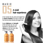 Sulfate Free Shampoo Supplier - For African Natural Hair