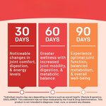 Turmeric Capsules Source Factory - OEM Curcumin with Bioperine for Joint Health