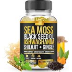 Sea Moss Gummies Factory - Private Label Halal Black Seed Oil Ashwagandha Ginger