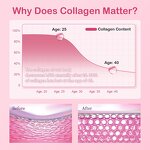 Marine Collagen Peptides Factory - Liquid Collagen Shots for Skin