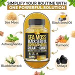 Sea Moss Gummies Factory - Private Label Halal Black Seed Oil Ashwagandha Ginger