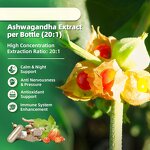 Cortisol Supplement Manufacturer - OEM 10-in-1 with Ashwagandha for Women