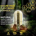 Sea Moss Capsules Supplier - GMP Factory OEM Black Seed Oil Ashwagandha Turmeric