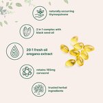 Oregano Oil Softgels Supplier - Private Label Antioxidant & Immune Support