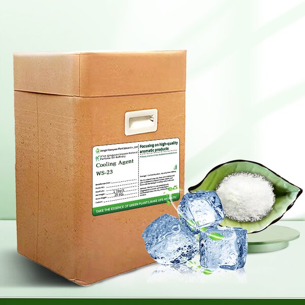 Cooling Agent WS23 Factory - Food Grade 99% Content