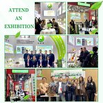 Sweet Almond Oil Supplier - Private Label Hexane Free