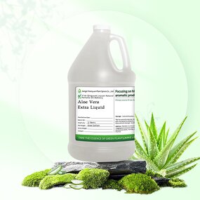 Aloe Extract Liquid Manufacturer - Steam Distilled Natural