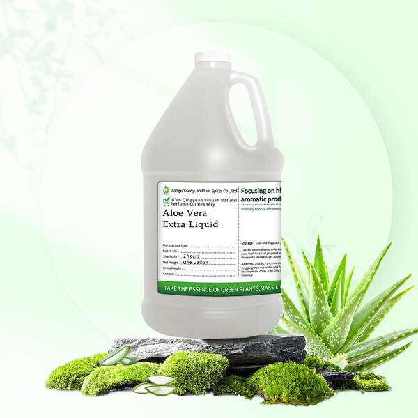 Aloe Extract Liquid Manufacturer - Steam Distilled Natural