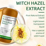 Witch Hazel Extract Manufacturer - Alcohol-free Tincture