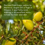 Argan Oil Supplier - Pure Morocco for Hair Skin
