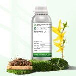 Forsythia Extract Factory - Organic Non-GMO